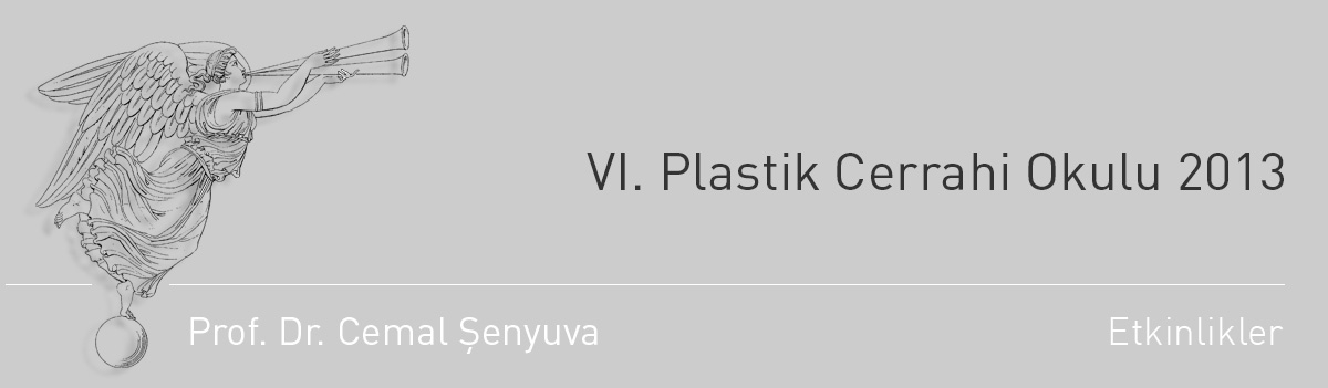 VI. Plastik Cerrahi Okulu 2013