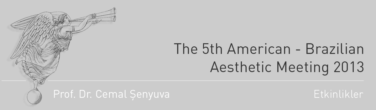 The 5th American - Brazilian Aesthetic Meeting 2013